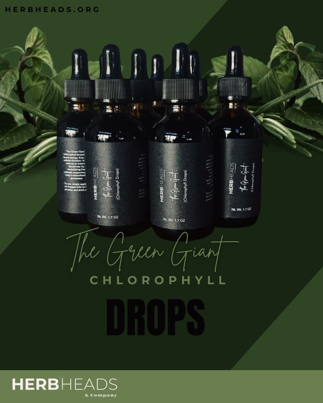 The Green Giant •Chlorophyll Drops