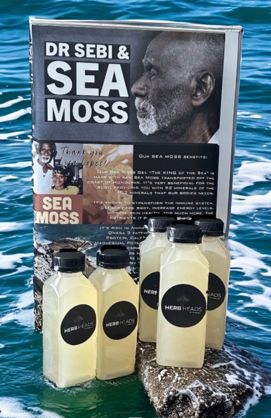 Wild Crafted Sea Moss Lemonade (Case of 5)