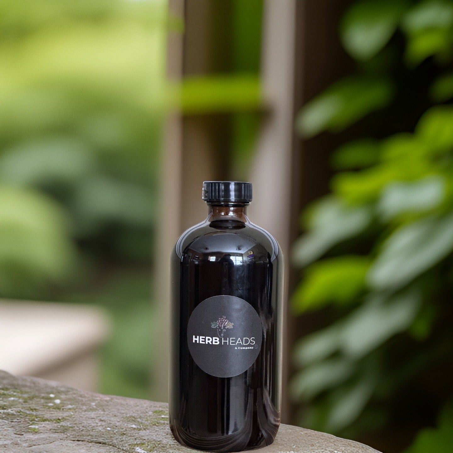 Elderberry (Sambucus)