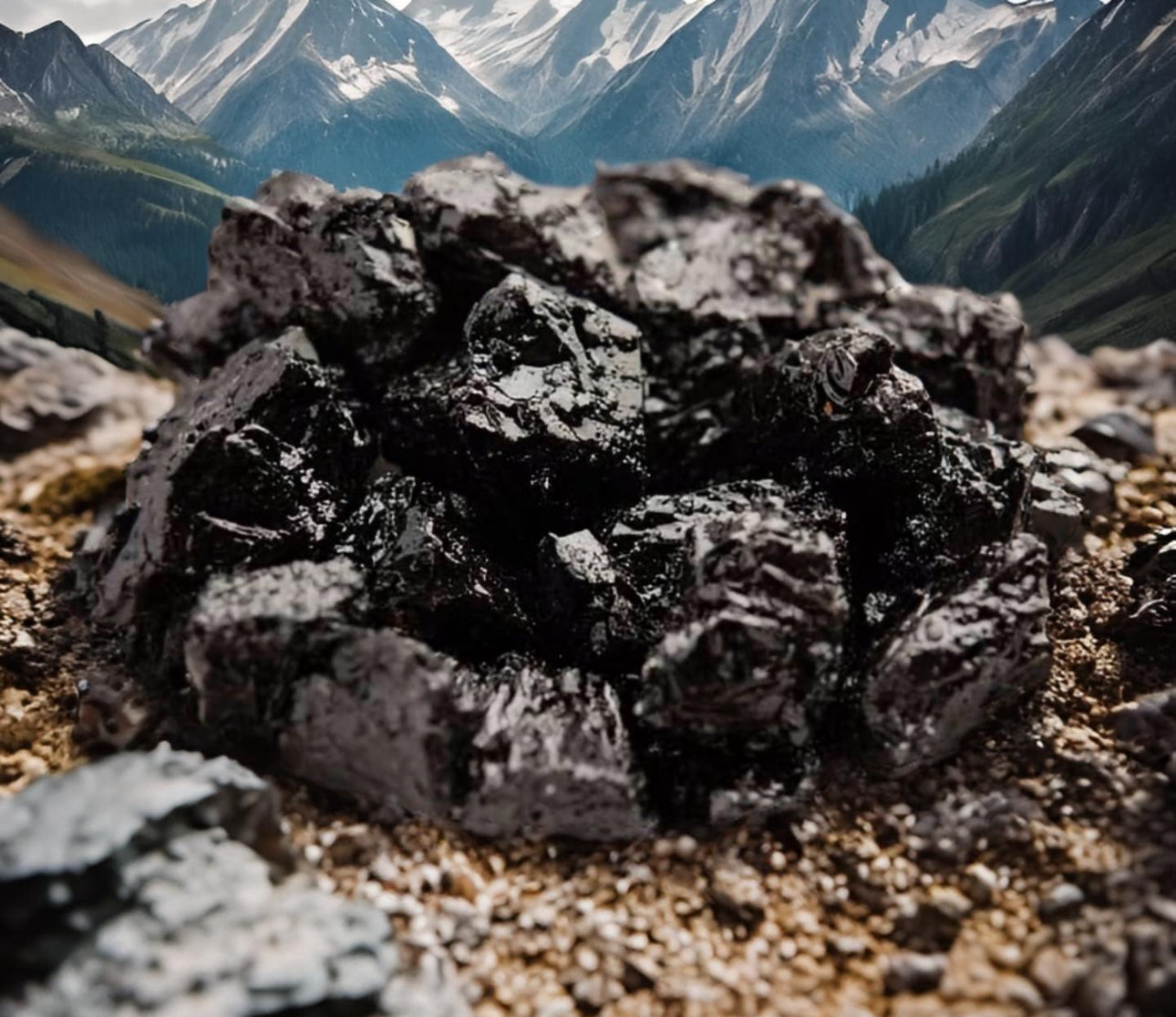 Himalayan Shilajit