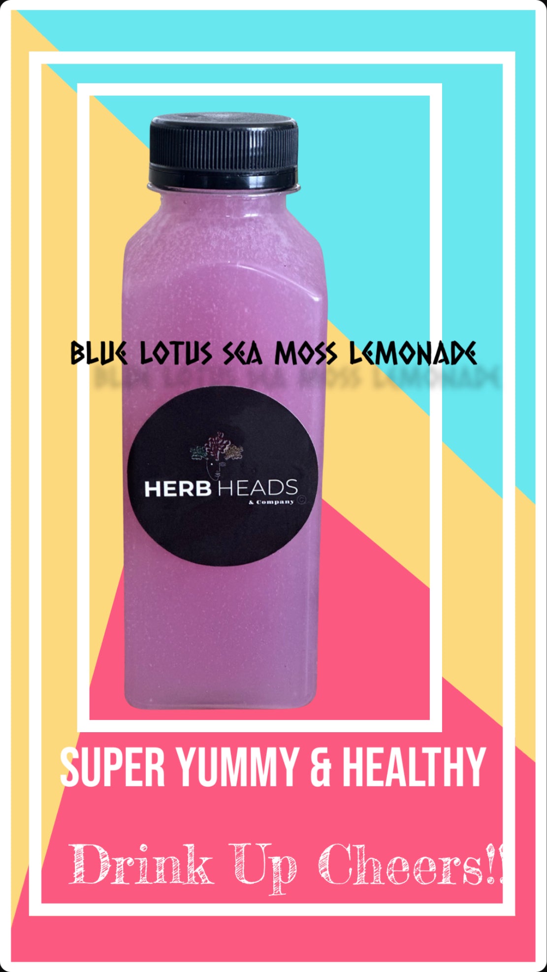 Wild Crafted Sea Moss Lemonade (Case of 5)