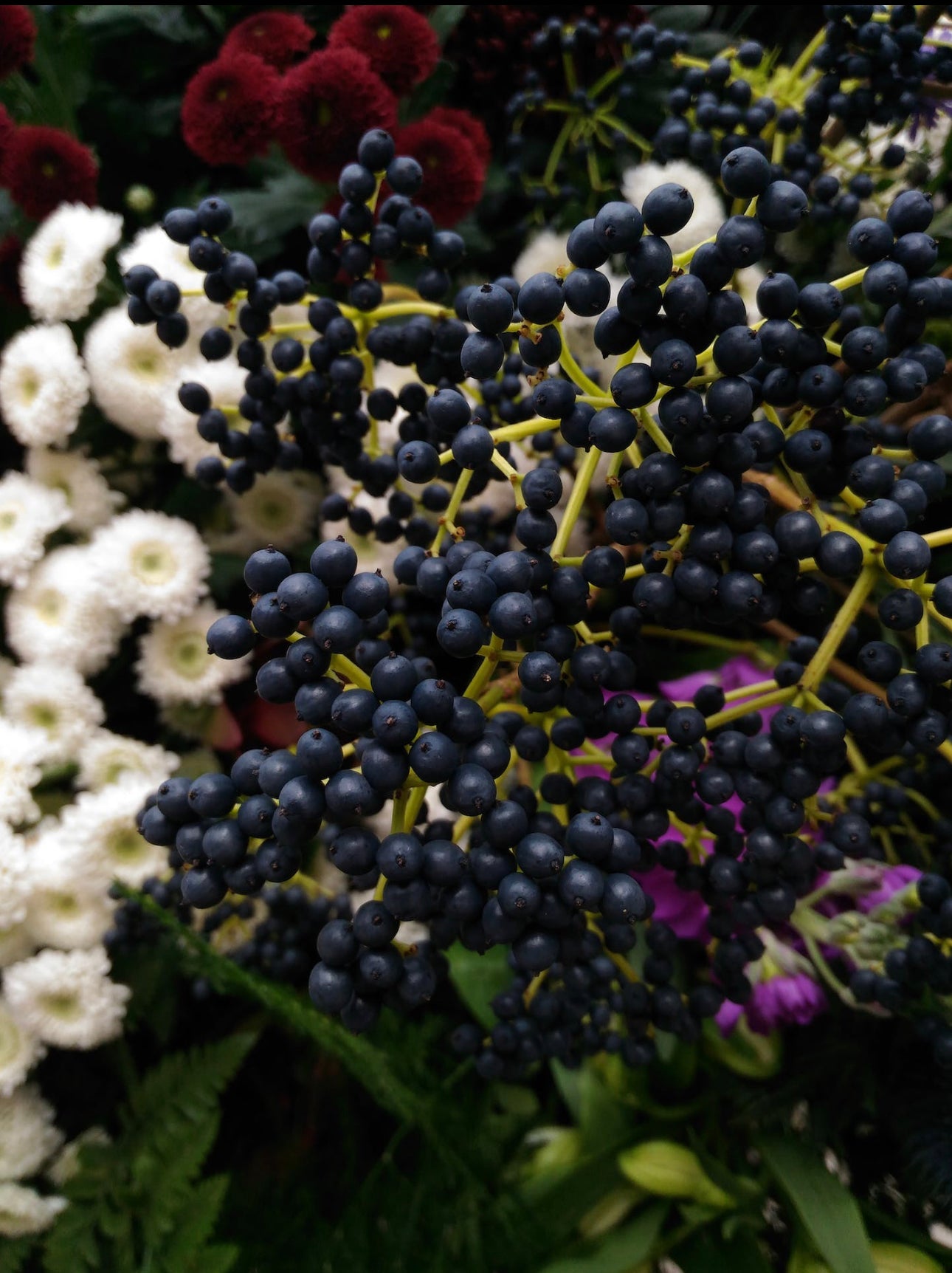 Wild Crafted Raw Sea Moss Gel  “The King of the Sea”.   (24 oz.)