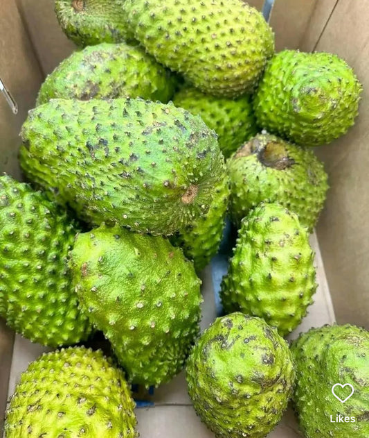 Soursop Fruit (Graviola, Guanabana)