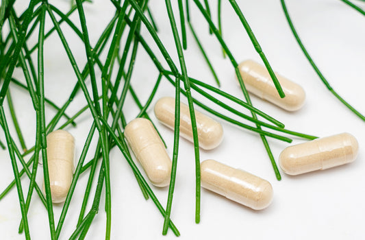 Kidney Stoner + • Kidney function, Kidney Builder, Kidney Disease
