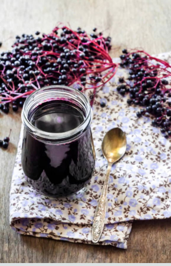 Elderberry (Sambucus)