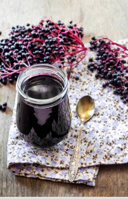 Elderberry (Sambucus)