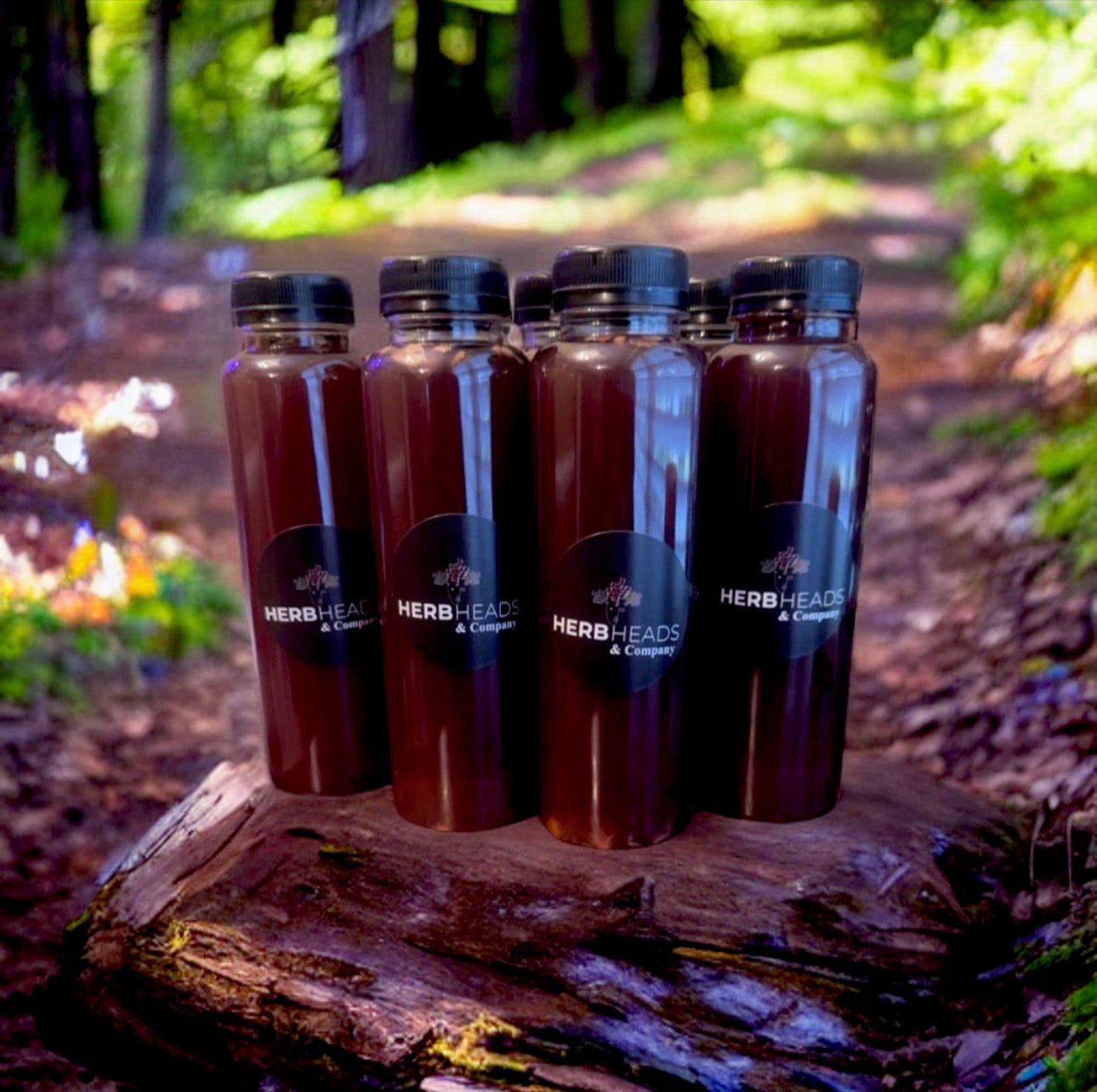 All in 1-Daily Herbal Tonic (5)