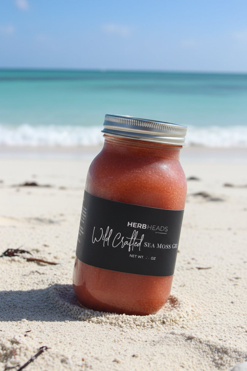 Full Spectrum Wild Crafted Sea Moss Gel “The King of the Sea”.   28 oz.