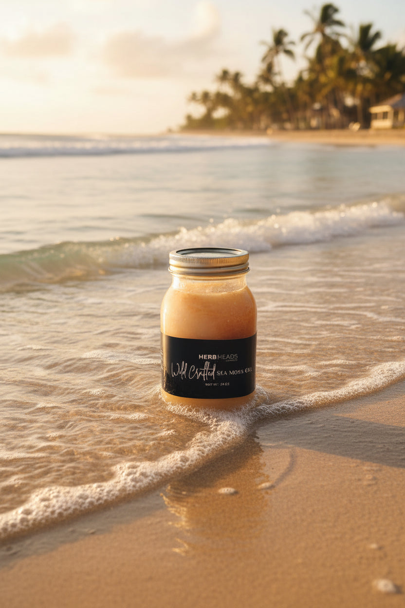 Full Spectrum Wild Crafted Sea Moss Gel “The King of the Sea”.   28 oz.