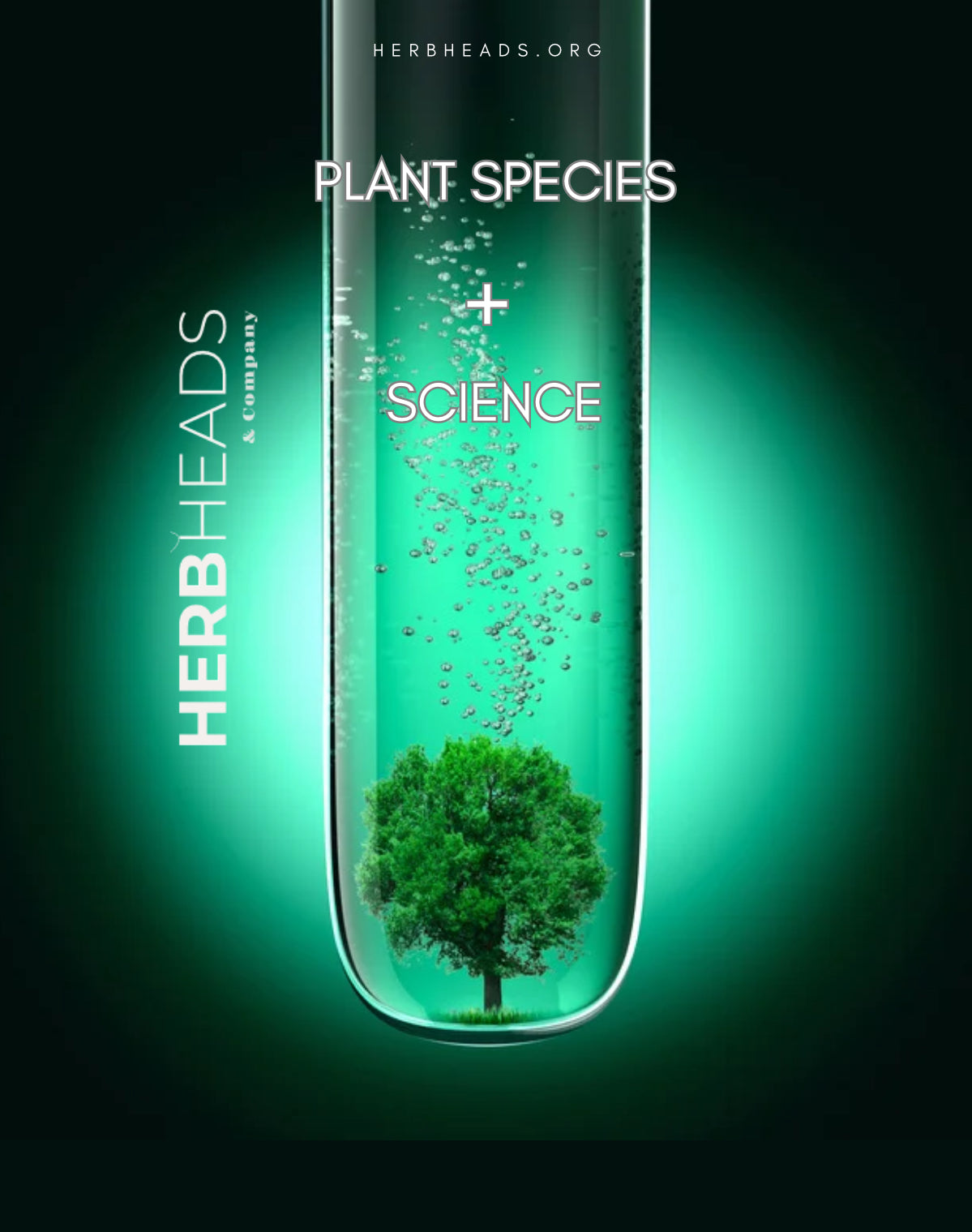 HERB HEADS & Co.®️Apothecary & Makery