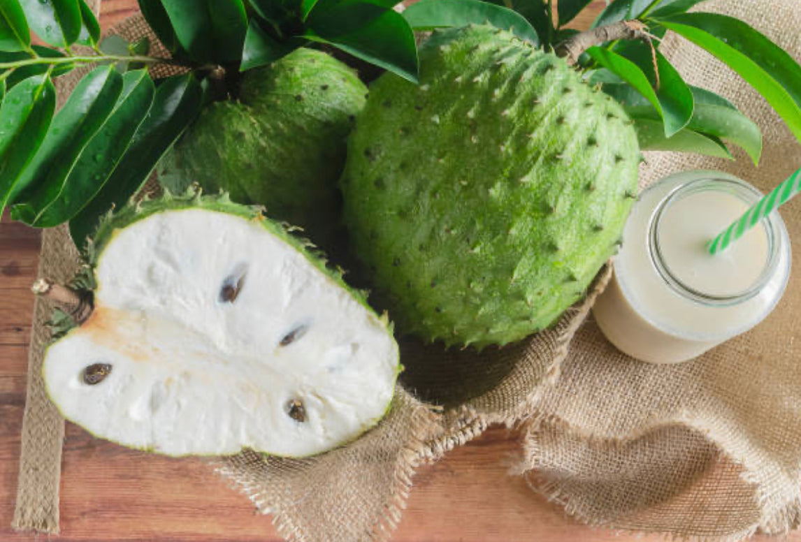 Soursop (Annona muricata)